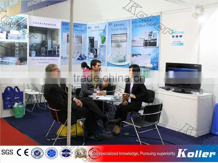 Koller containerized ice block plant JMB50 in 40GP container
