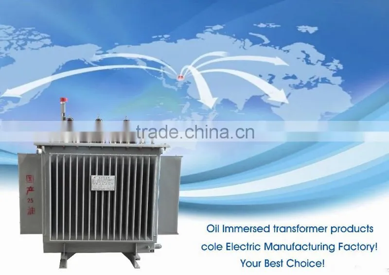 single phase 10kv oil immersed 110v transformer