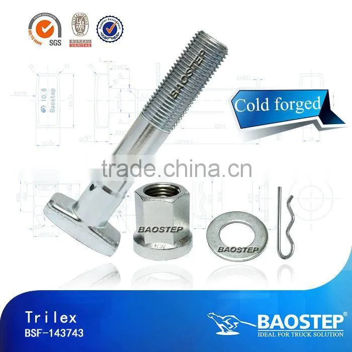 Baostep Excellent Quality Cold Forged Forged T Bolt
