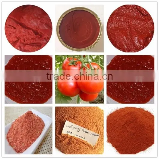 tomato paste less than 4.5KG Canned fruit and vegetable