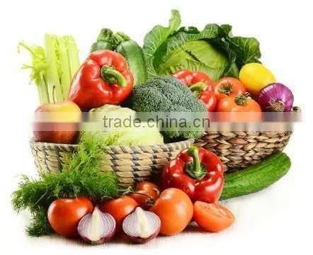 hot sale food dehydrator equipment exported to many countries