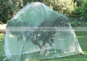 Fruit tree netting promises big delicious fruits
