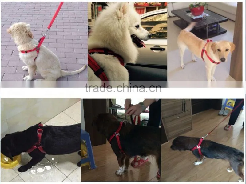 Durable wholesale pet dog leash and harness