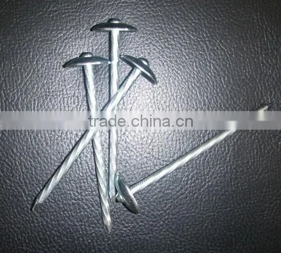 3inches rubber washer roofing nails for India market