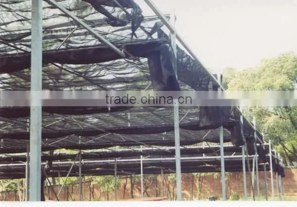 Insect Net Covered Shade House