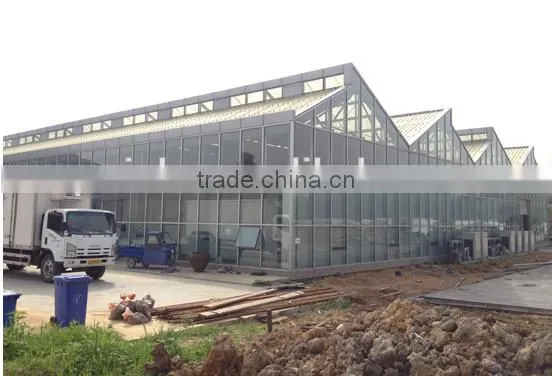Hot Sale the Cheapest and Easily Assembled Agricultural Glass Greenhouse for sale