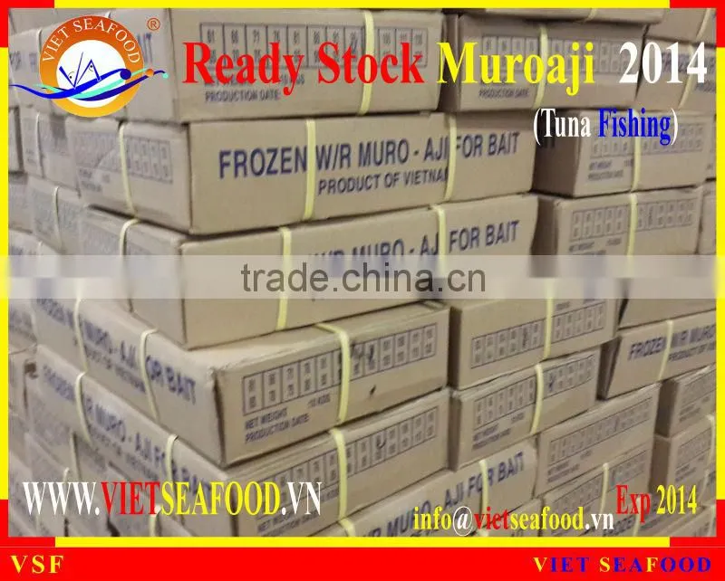 READY STOCK FOR SUPPLY MUROAJI FOR TUNA BAIT