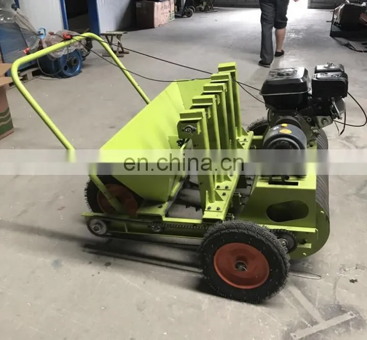 Hot Selling 6 Row Garlic Planter/tractor driven garlic seeder with wholesale price