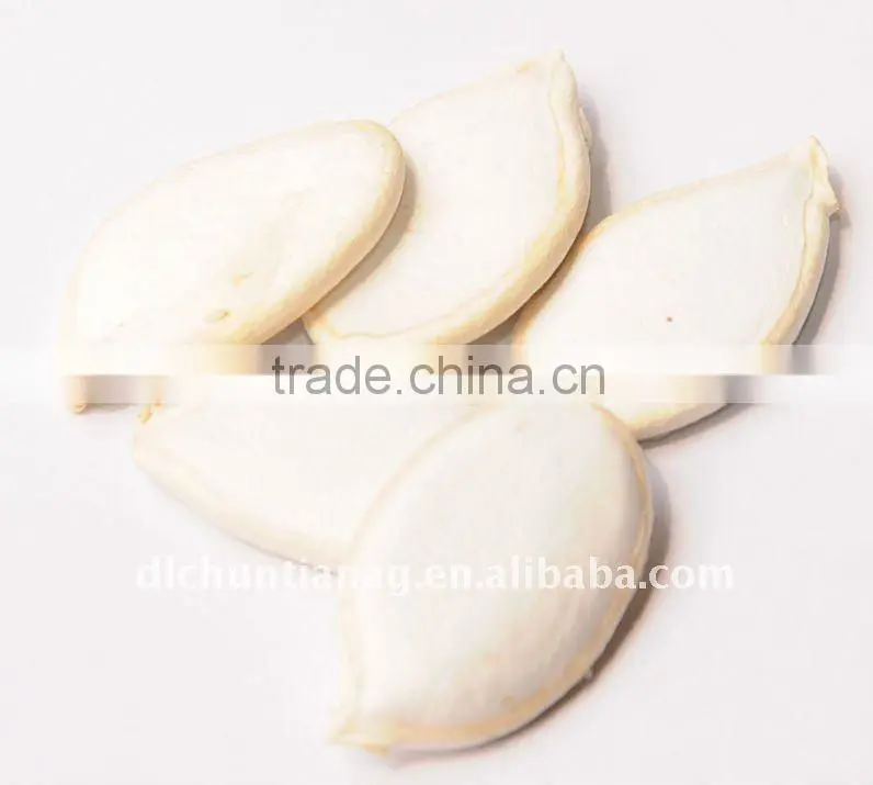 Organic Snow White Pumpkin seed