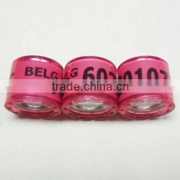 Address Ring for Pigeon