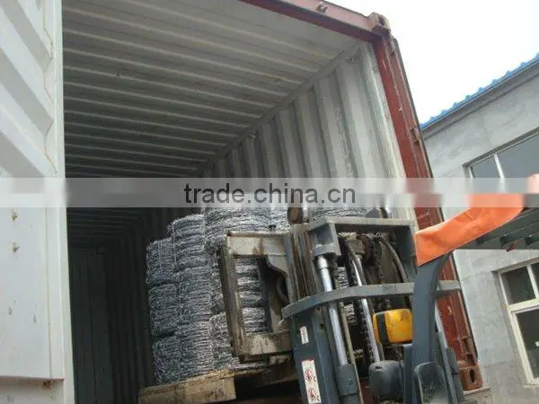 hot dip/ Electro galvanized barbed wire (manufacturer)