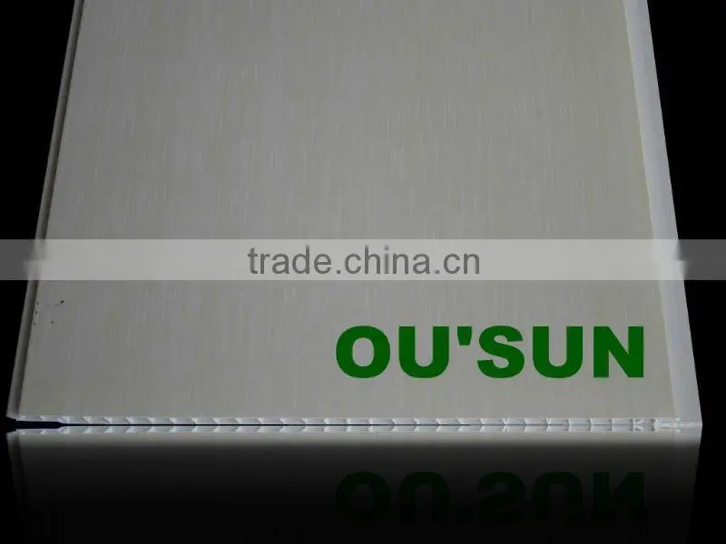 2012 Haining The Newest PVC Solid Panel