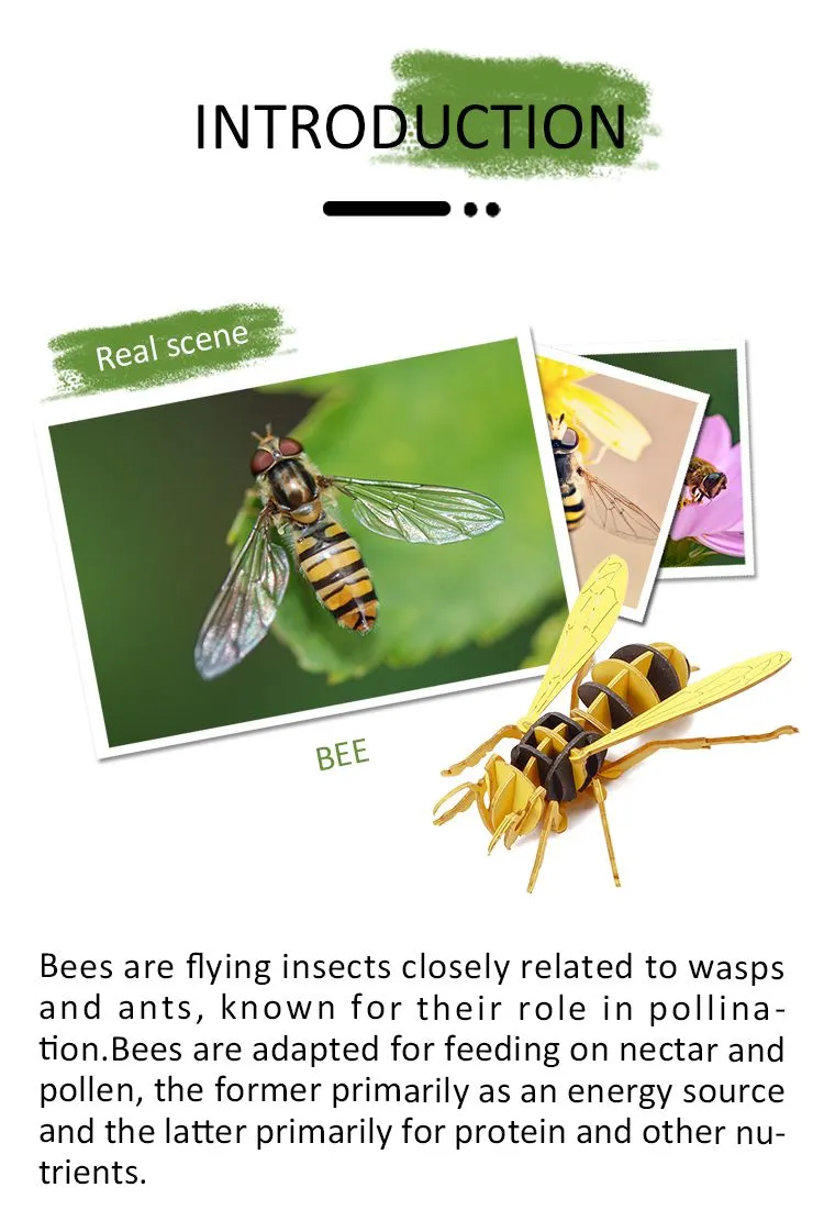 bee 6