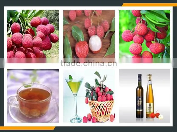 Leader hot sales high quality lychee denucleating machine at a low price