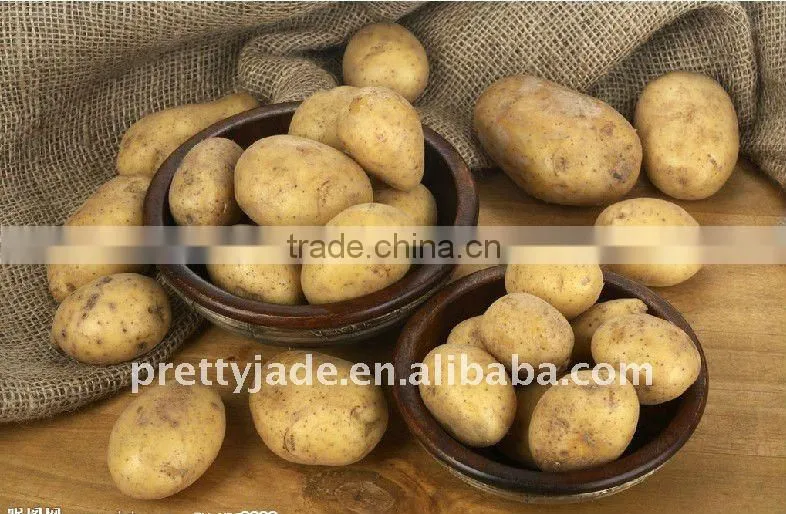 Potato supplier
