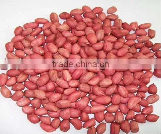 Best price raw washed peanut in shell for sale