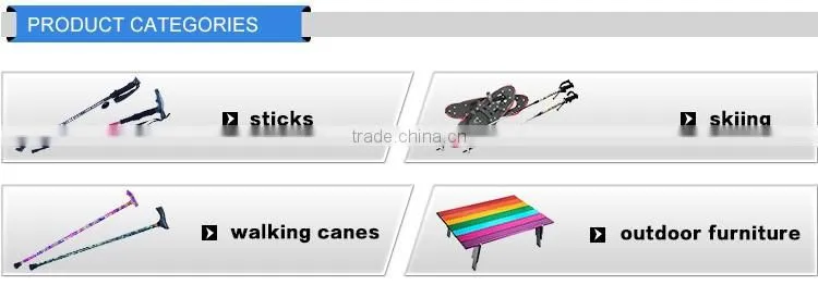 Trekking Stick