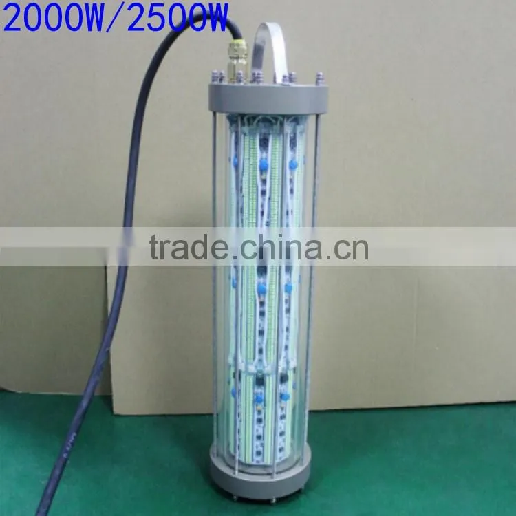 600W led light for fishing/inflatable fishing chair/fishing gear CE& RoHS