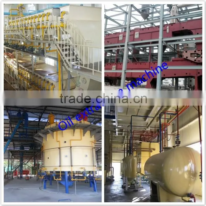 30 years experience automaticcooking oil mill plant