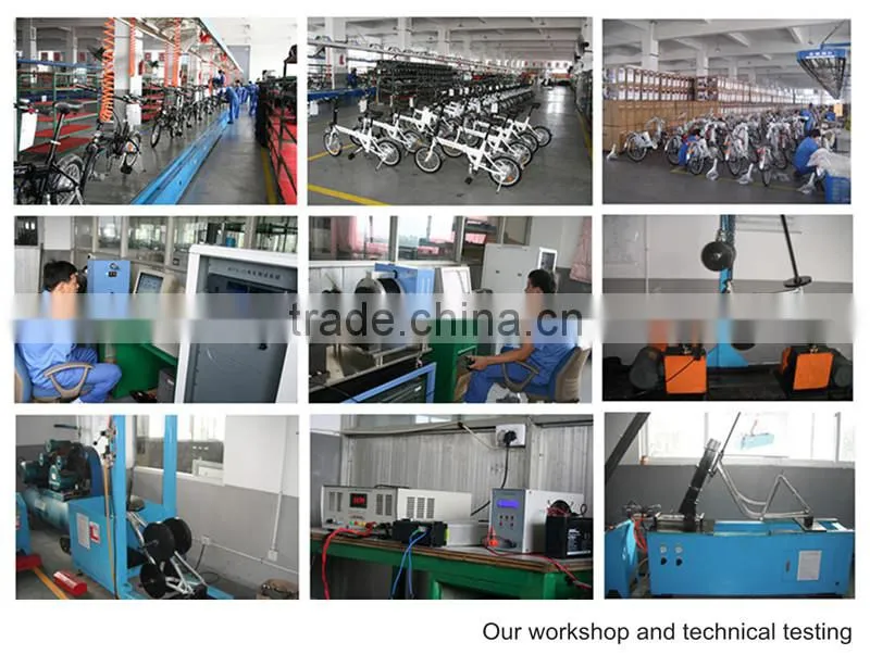 26 inch foldable E-Bicycle with TGS Brand alloy crown and outer-legs suspension front Fork XY-TDE09Z