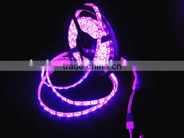 Shenzhen Waterproof SMD 5050 60LEDs/m RGB LED Light Strip with CE&RoHS