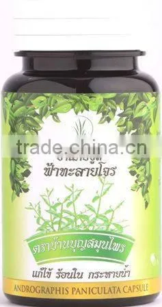 Health Product Thai Traditional Herb Capsules