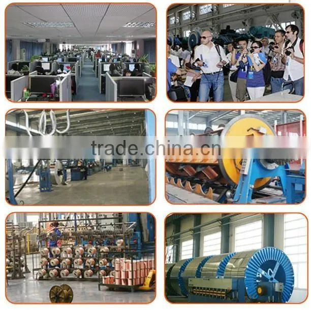 Dedicated manufacturer of 16 Cores 1mm2 2.5mm2 4mm2 Flexible PVC Control Cable