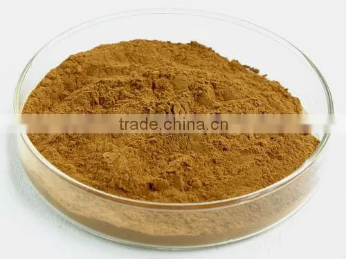 natural Olive Leaf Extract 20% 40% Oleuropein