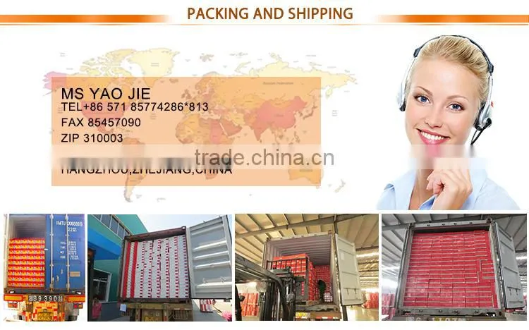 oem brand bright red sweet tomato ketchup paste sauce with best price
