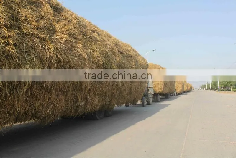 Mo Fulvic acid fertilizer