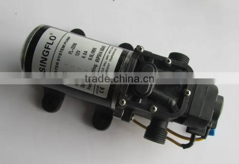 New product 6LPM 1/2'' BSPT thread self 12v dc mini water pump for outdoor water heater