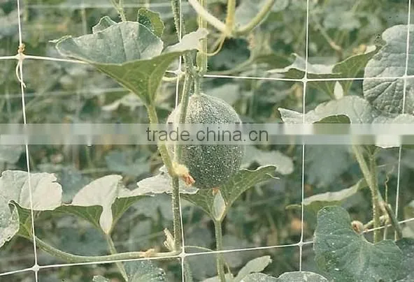 plastic climbing plant support