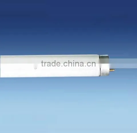 T5 Fluorescent Lamp Fitting