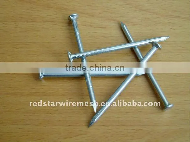 Galvanized Iron Common Nails&common nail iron nail factory