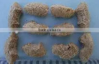 soy protein extrusion machine/soya nugget processing extruder