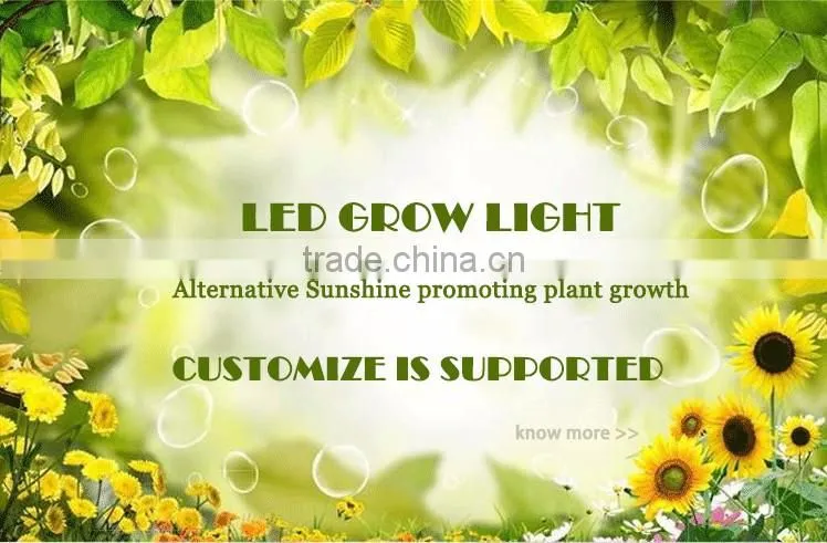 Alibaba China 5W chip 1200w led grow light