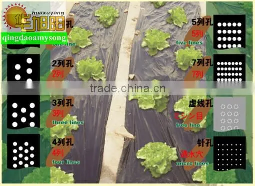 Agriculture perforated plastic pe agriculture film