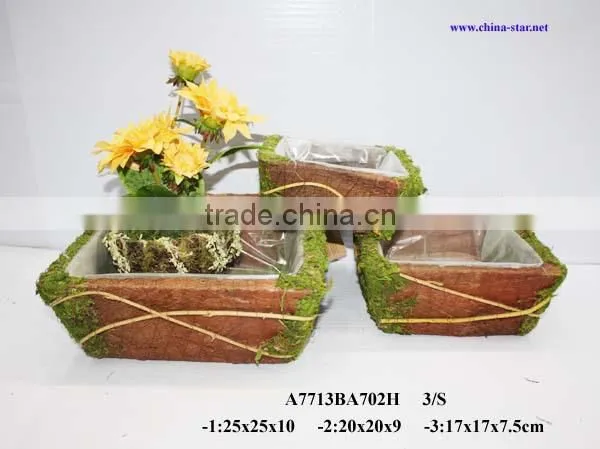 moss coco plantting pot