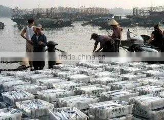 Zhejiang Zhoushan Jiaze Aquatic Co., Ltd. company overview - view 2