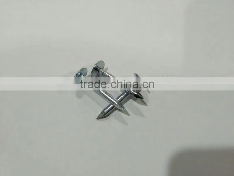 big head clout nails hot selling CHINA