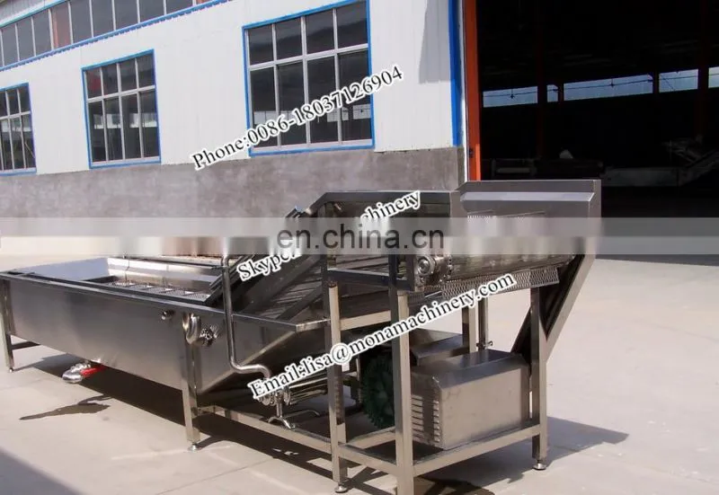 fruit processing industrial vegetable and fruit washing machine