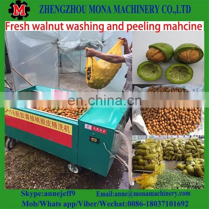 Green Walnut washing Peeling Machinery | Walnut peeler machine on sale