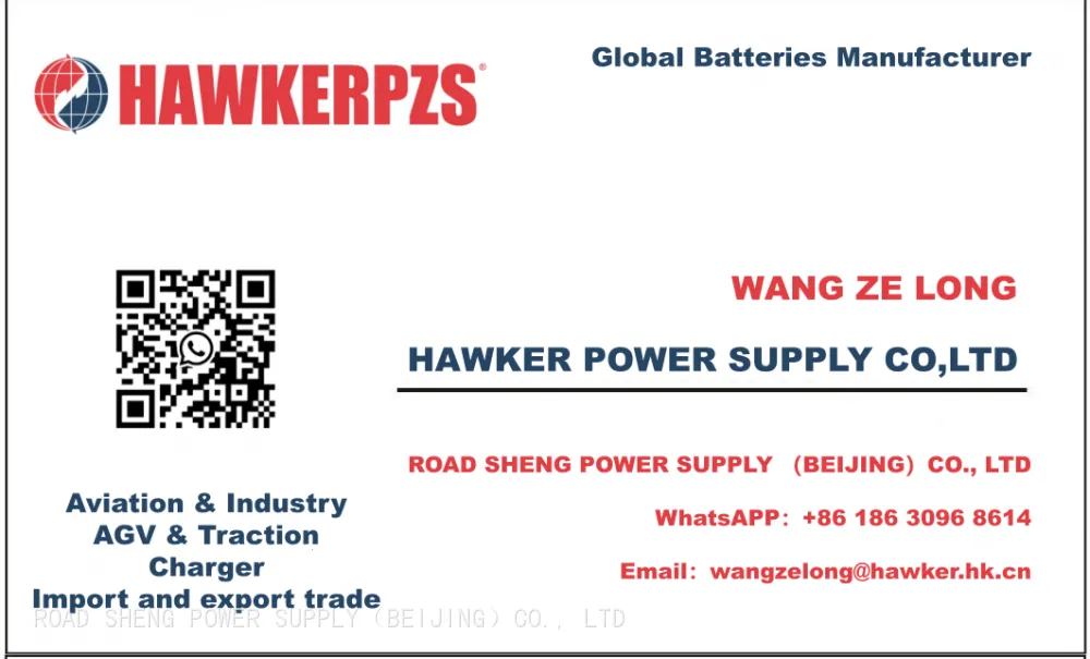 WANG ZE LONG HAWKER