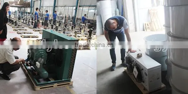 cold storage deep freezer for seafood, green house mobile freezer prices