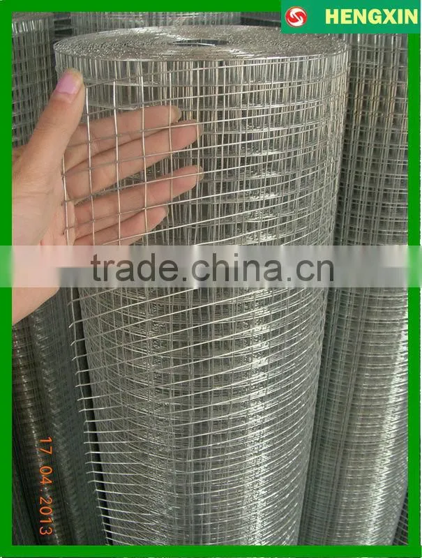 4x4Galvanized welded wire mesh /rabbit cage mesh fence