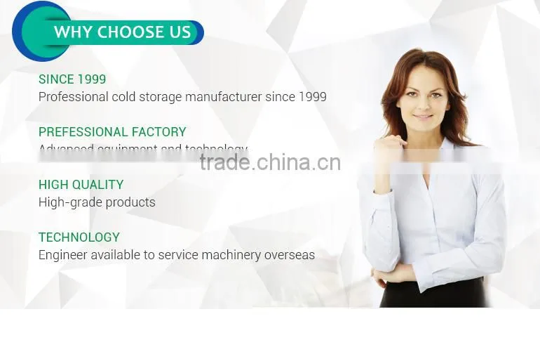 Newly good quality cold room polyurethane sandwich panel