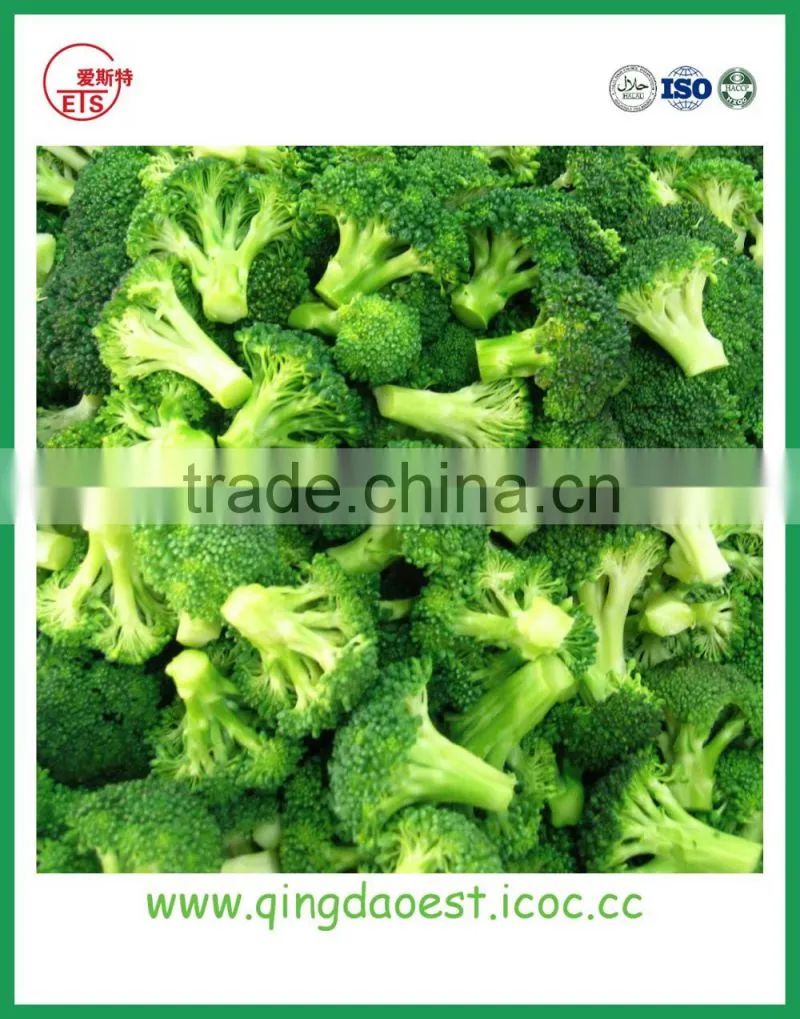 High quality Chinese Fresh Broccoli
