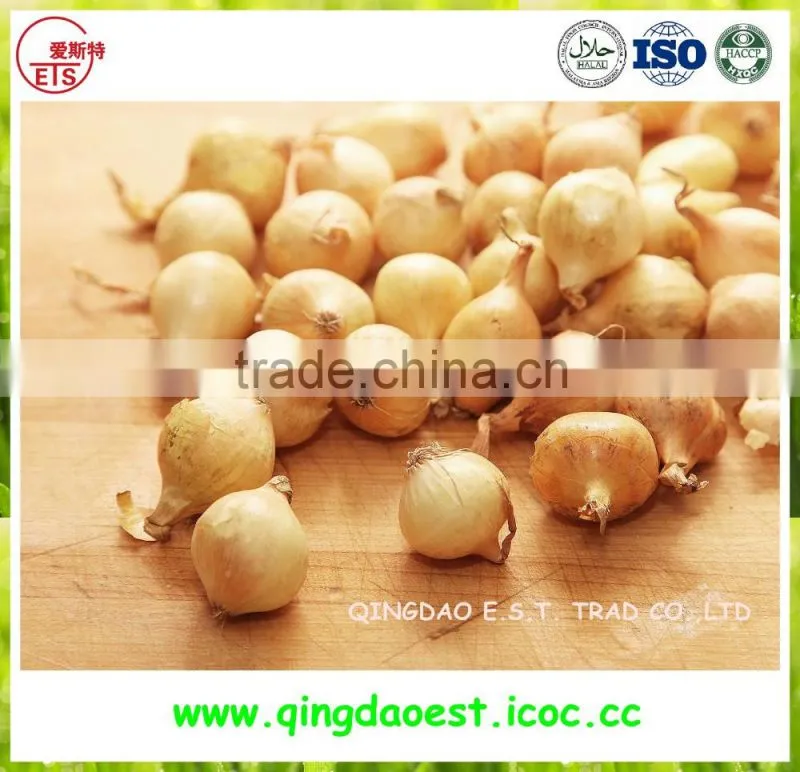 Export china Fresh organic new crop red and yellow onion