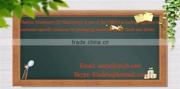 Food Vacuum Sealer /Food Meat Vegetalbe SS304 Vacuum Sealer