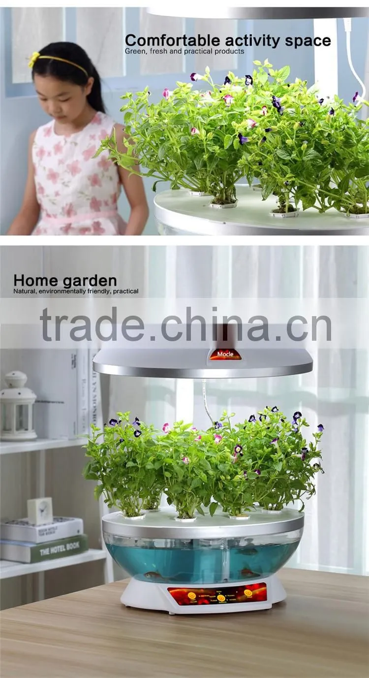 grow expand water toys